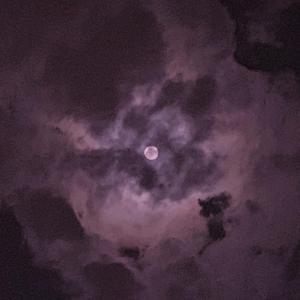 国产亲妺妺乱的性视频
